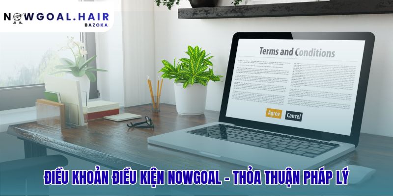 Điều khoản điều kiện là thỏa thuận pháp lý ràng buộc bạn